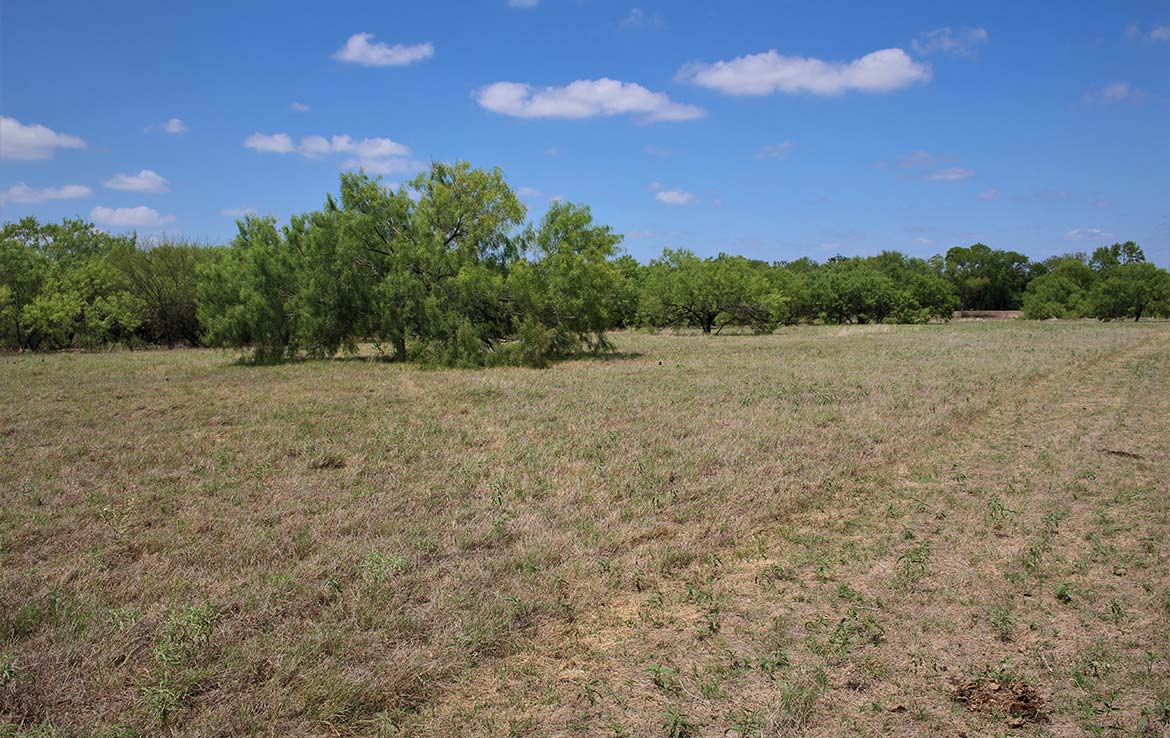 Pecan Acres 32 Acre Ranch Medina County Image 3