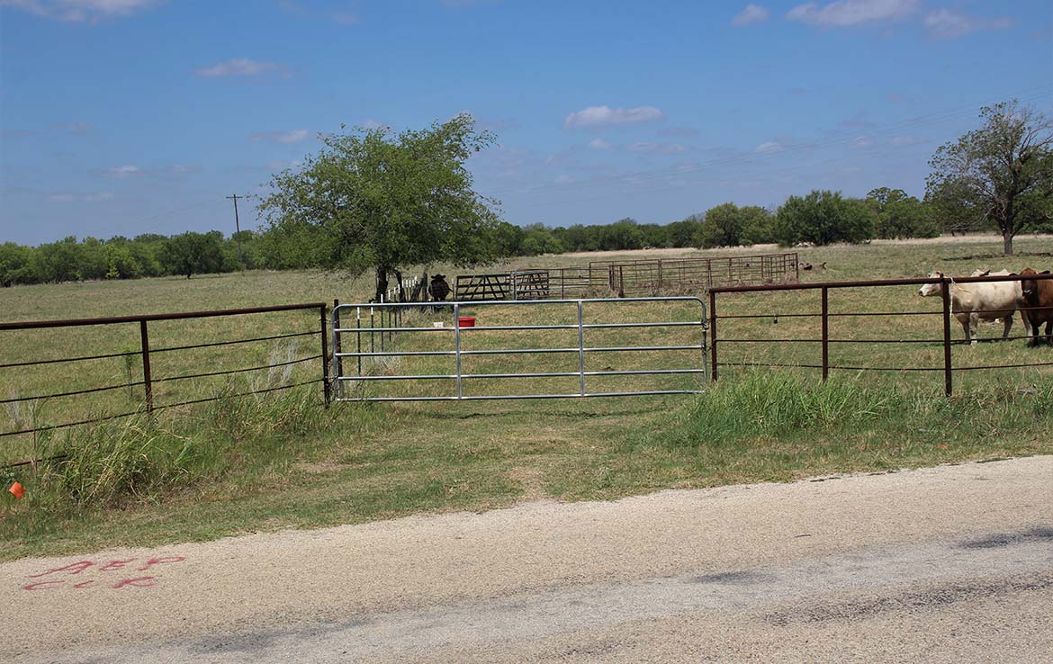 Pecan Acres 32 Acre Ranch Medina County Image 7