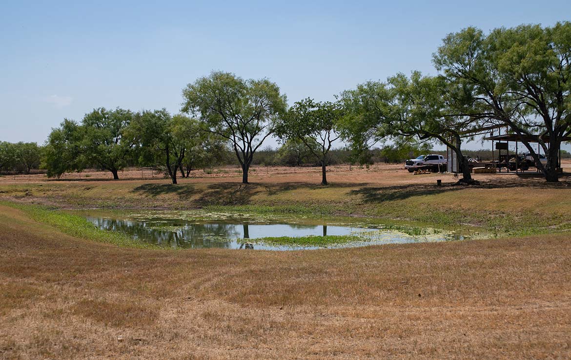 Mesquite Flats Ranch 493 Acre Ranch Medina County Image 10