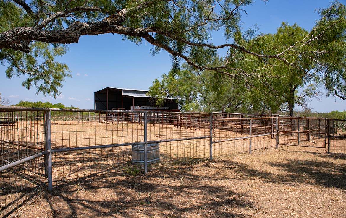 Mesquite Flats Ranch 493 Acre Ranch Medina County Image 12