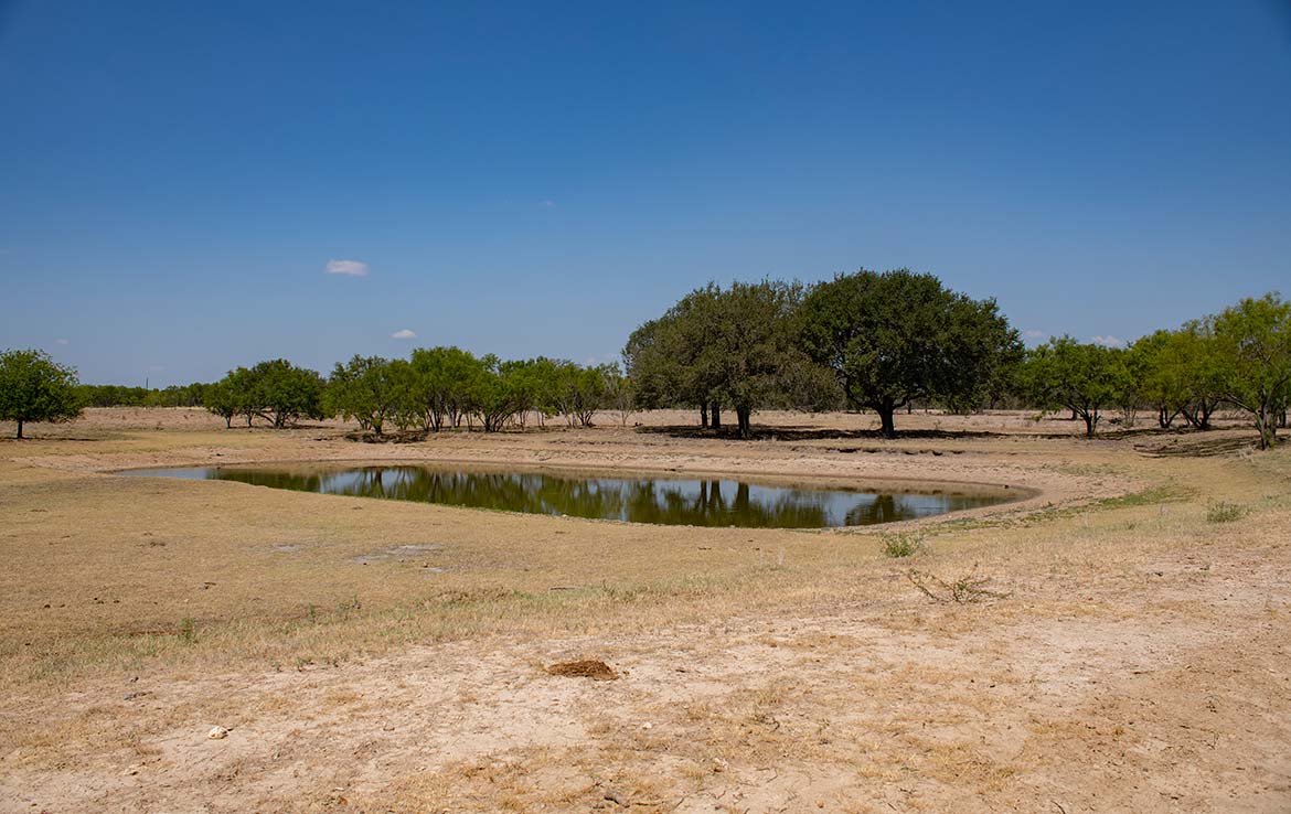 Mesquite Flats Ranch 493 Acre Ranch Medina County Image 14