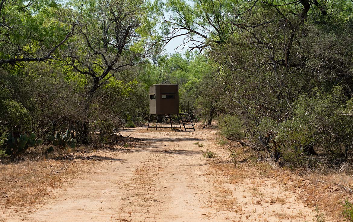 Mesquite Flats Ranch 493 Acre Ranch Medina County Image 16