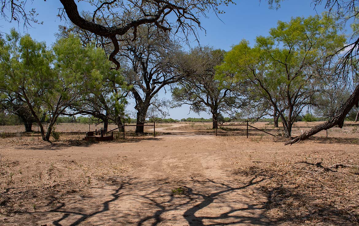Mesquite Flats Ranch 493 Acre Ranch Medina County Image 18