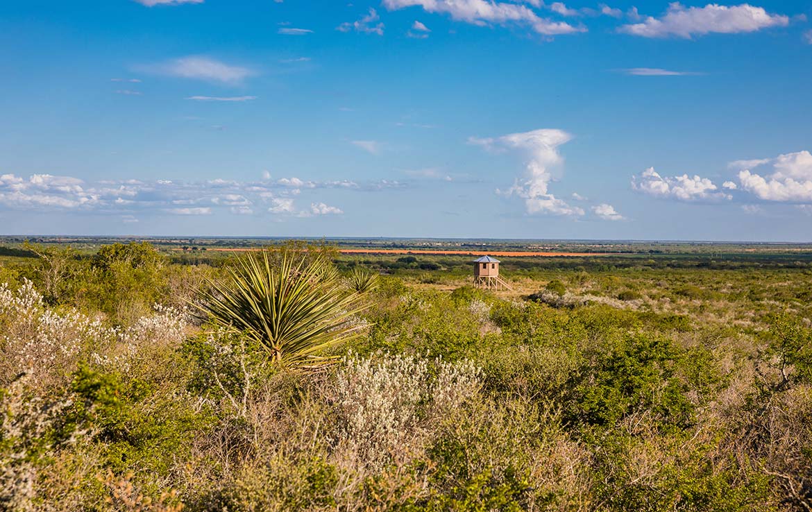 R5 Ranch - Texas Ranch Sales, LLC