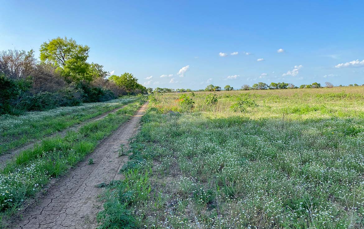 Pulido Farm 90 Acre Ranch Uvalde County Image 1