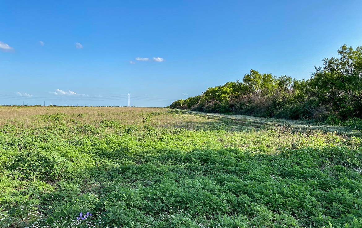 Pulido Farm 90 Acre Ranch Uvalde County Image 11