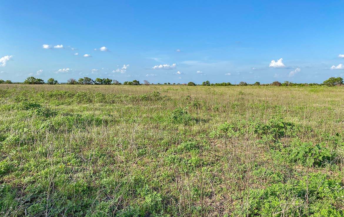 Pulido Farm 90 Acre Ranch Uvalde County Image 12