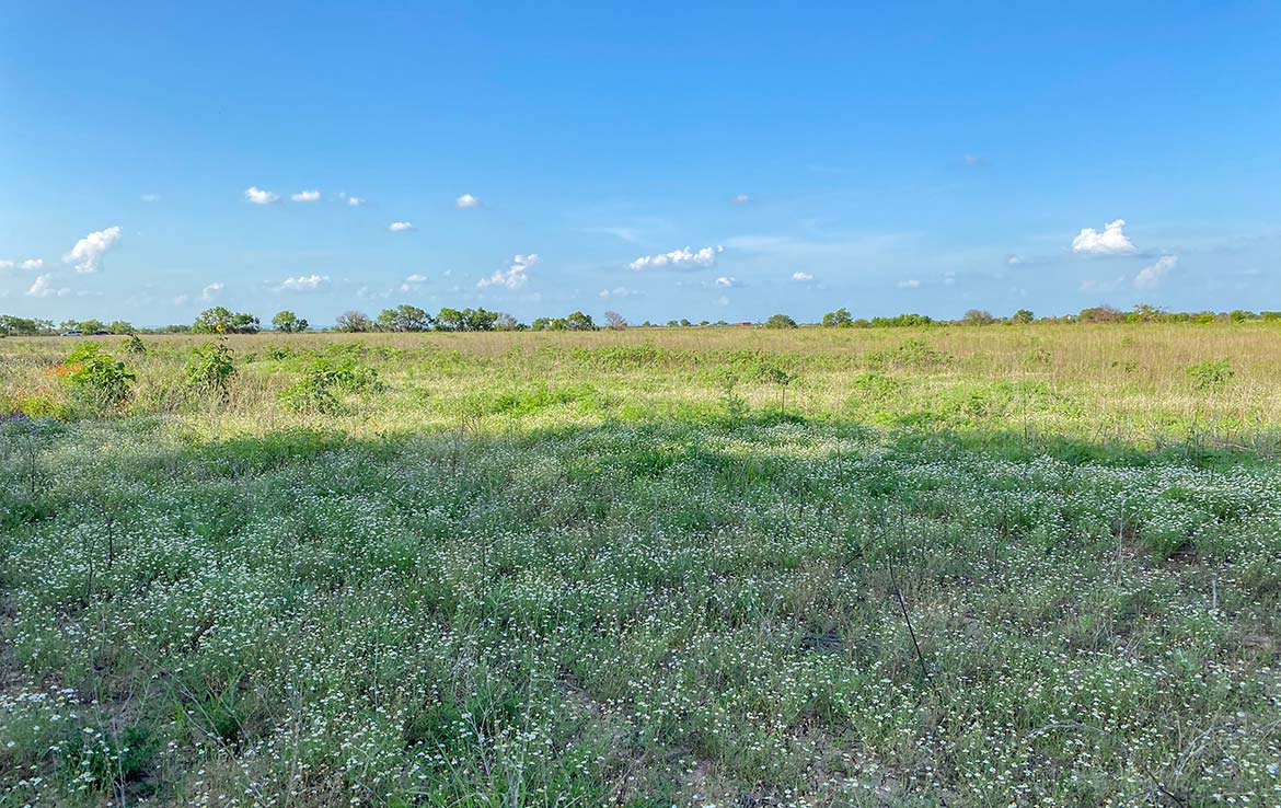 Pulido Farm 90 Acre Ranch Uvalde County Image 2