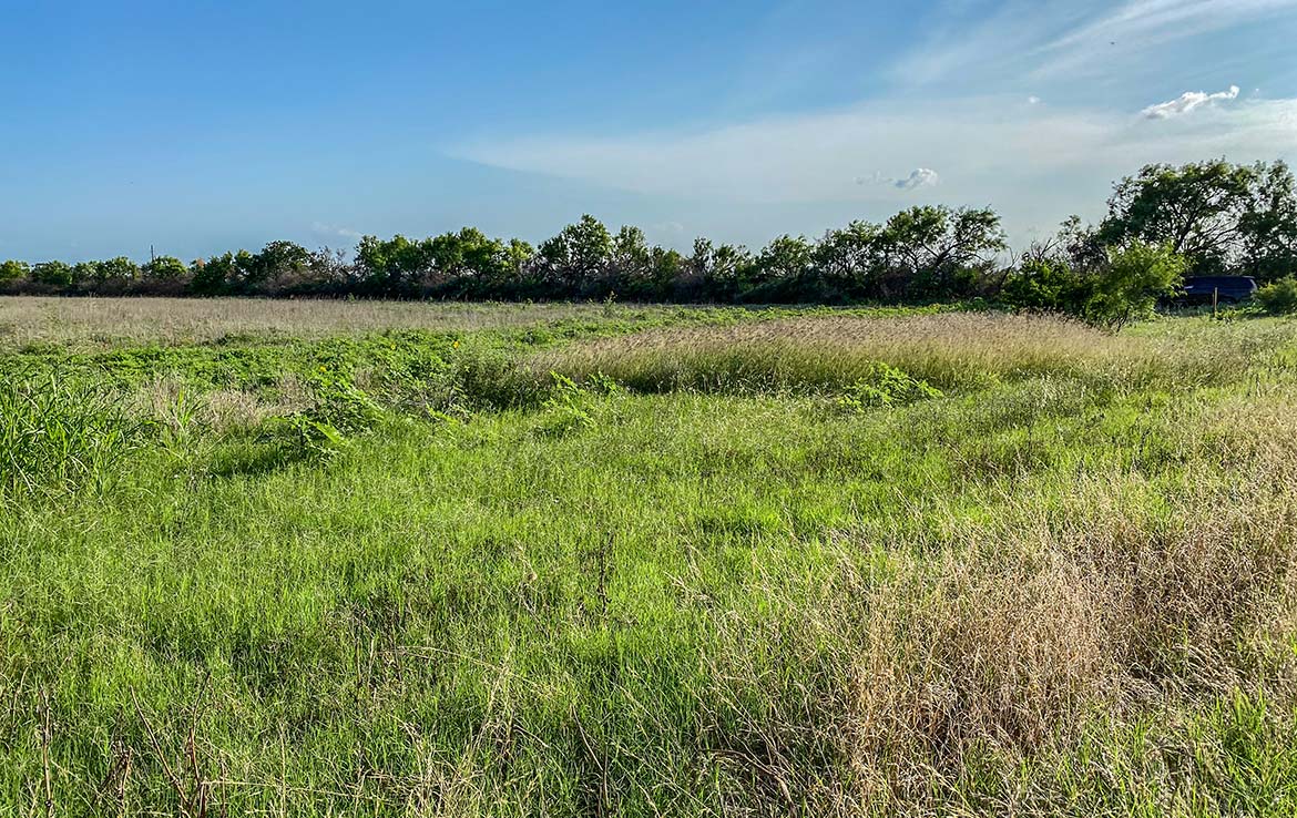 Pulido Farm 90 Acre Ranch Uvalde County Image 3