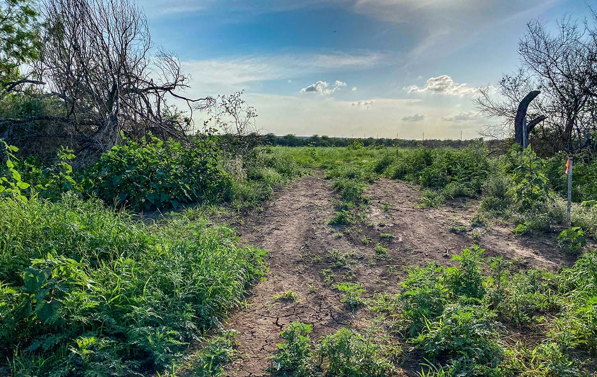 Pulido Farm 90 Acre Ranch Uvalde County Image 4