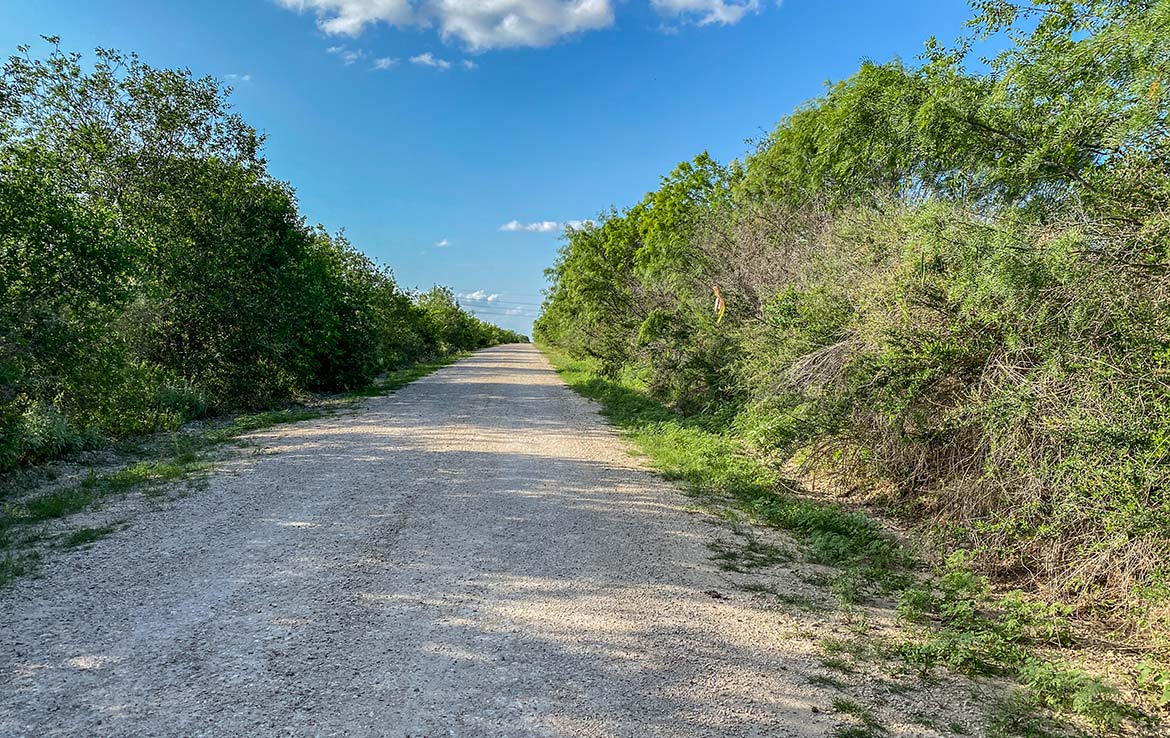 Pulido Farm 90 Acre Ranch Uvalde County Image 7
