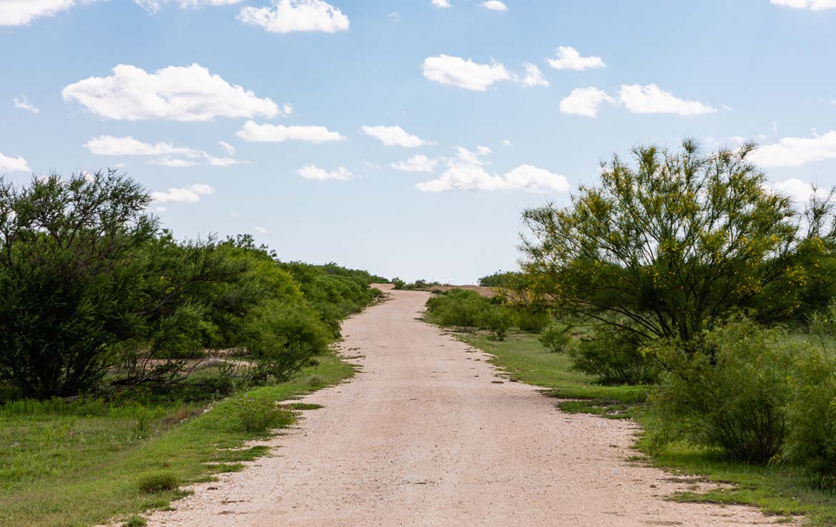 Catarosa Ranch 2596 Acre Ranch Dimmit County Image 14