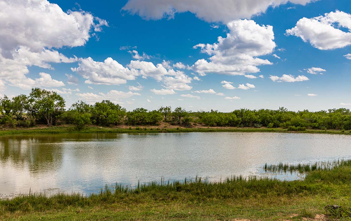 Catarosa Ranch 2596 Acre Ranch Dimmit County Image 15