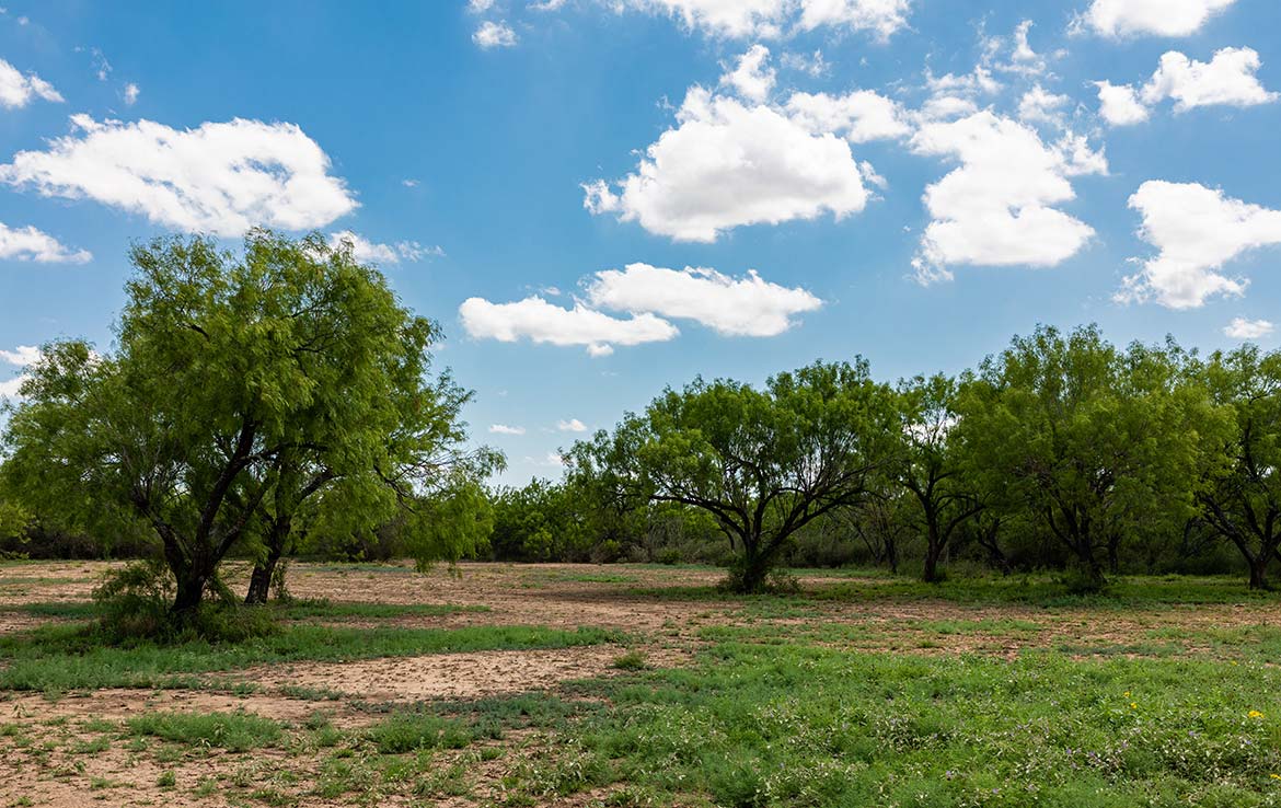 Catarosa Ranch 2596 Acre Ranch Dimmit County Image 16