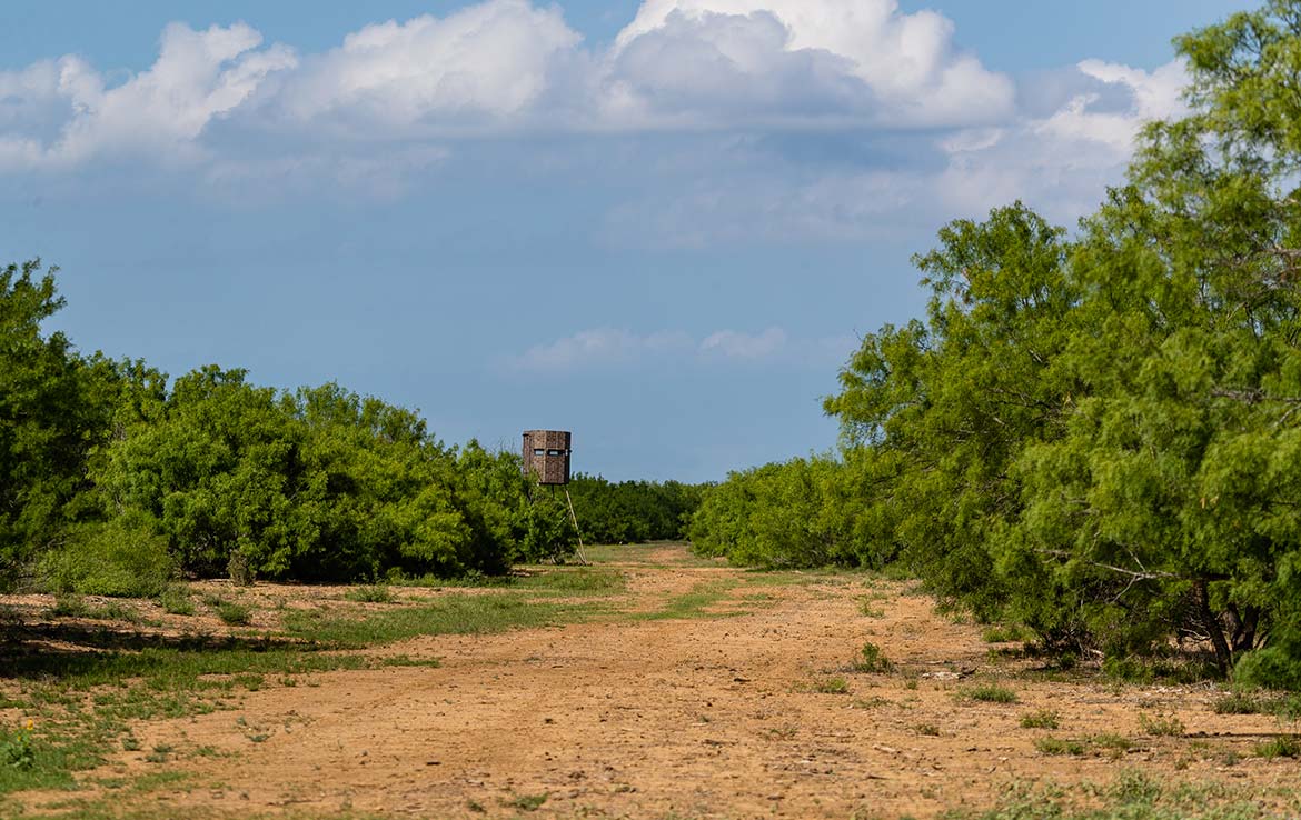 Catarosa Ranch 2596 Acre Ranch Dimmit County Image 18
