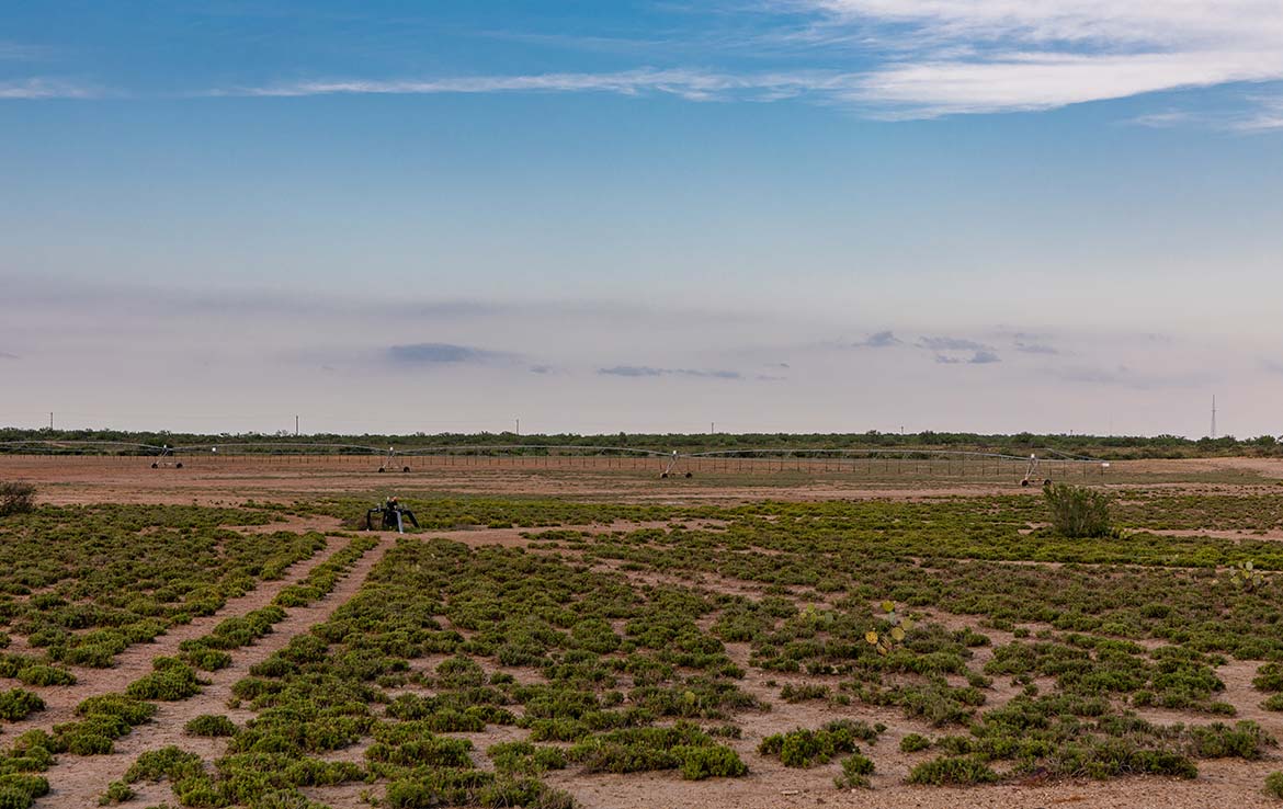 Catarosa Ranch 2596 Acre Ranch Dimmit County Image 21