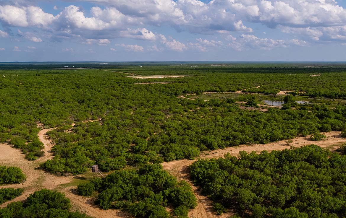Catarosa Ranch 2596 Acre Ranch Dimmit County Image 27