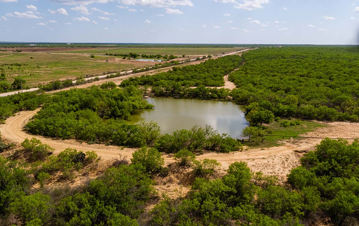 Catarosa Ranch 2596 Acre Ranch Dimmit County Image 28