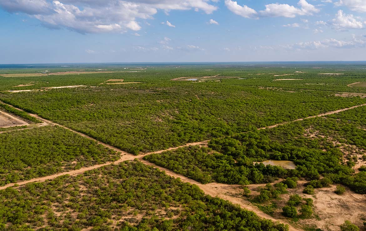 Catarosa Ranch 2596 Acre Ranch Dimmit County Image 29