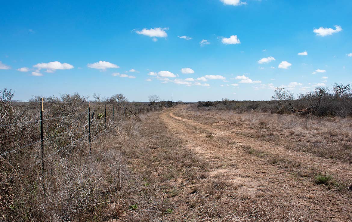 Paloma Grande 500 Acre Ranch Duval County Image 1