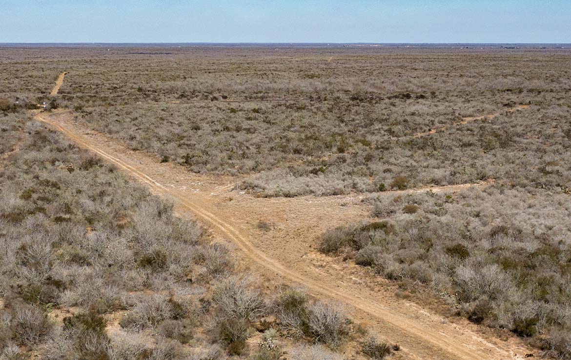 Paloma Grande 500 Acre Ranch Duval County Image 11