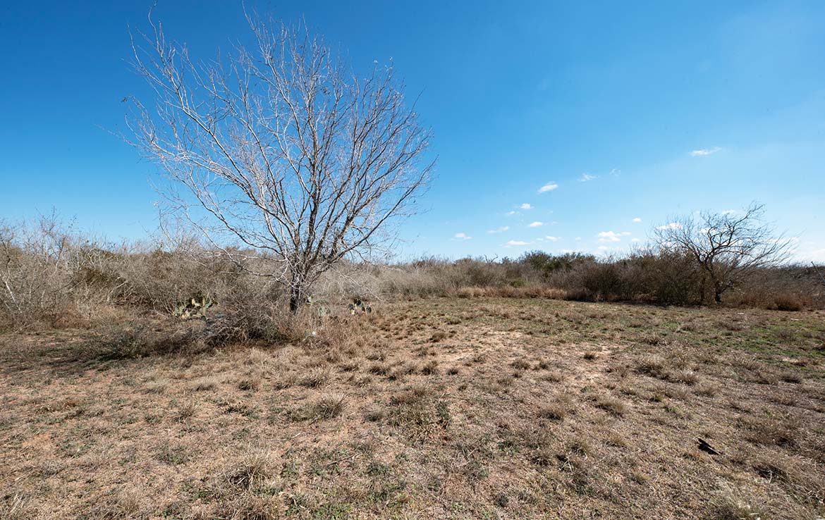Paloma Grande 500 Acre Ranch Duval County Image 2