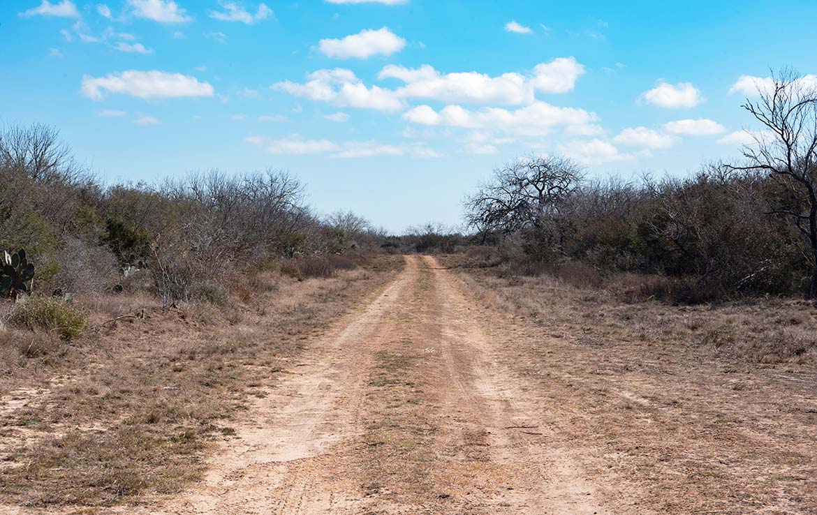Paloma Grande 500 Acre Ranch Duval County Image 3