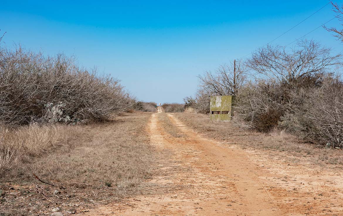 Paloma Grande 500 Acre Ranch Duval County Image 6