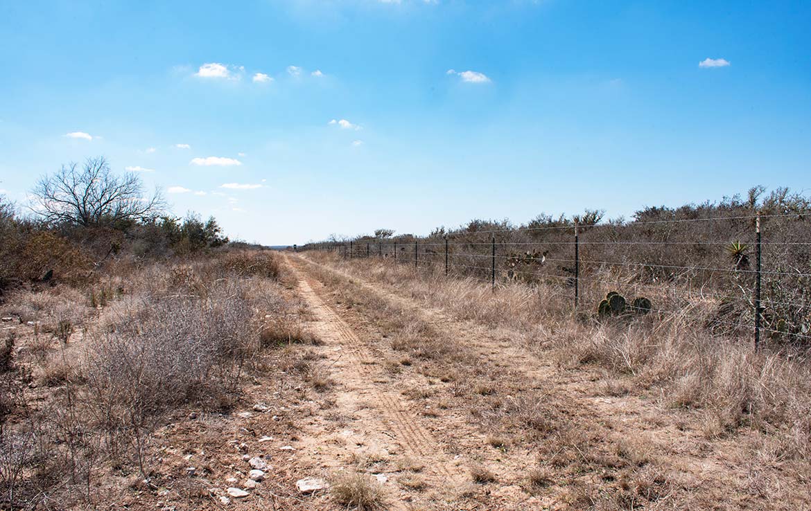Paloma Grande 500 Acre Ranch Duval County Image 8