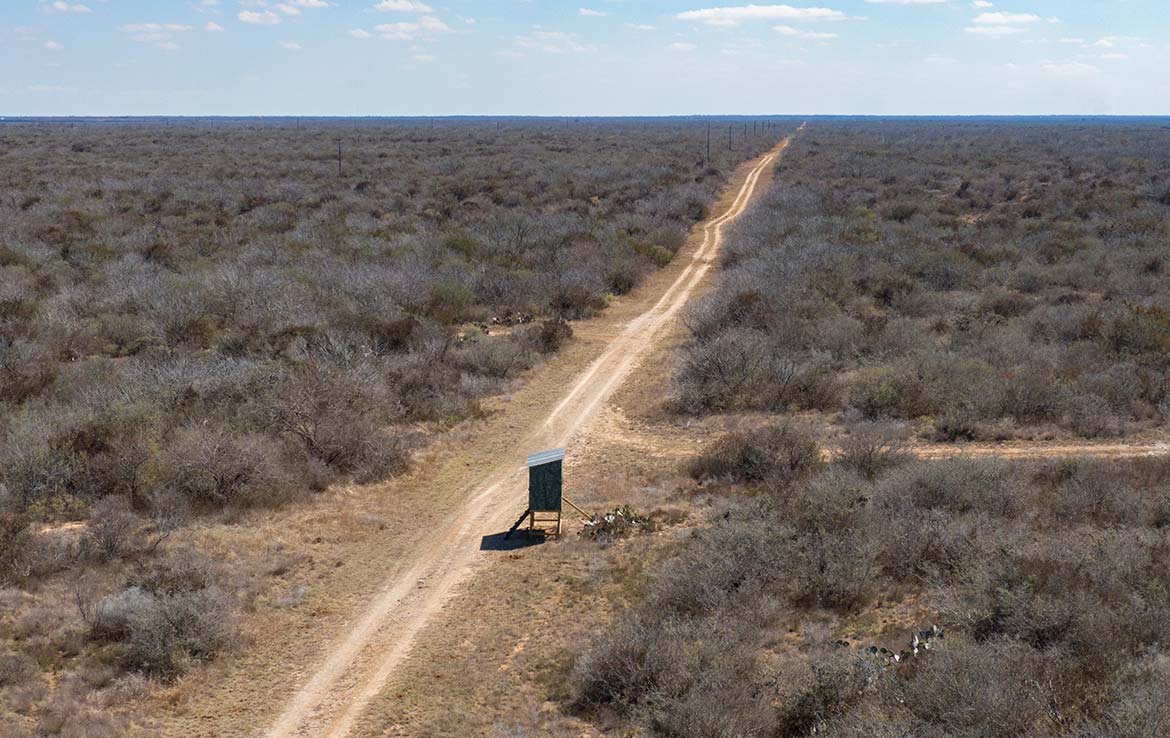 Paloma Grande 500 Acre Ranch Duval County Image 9
