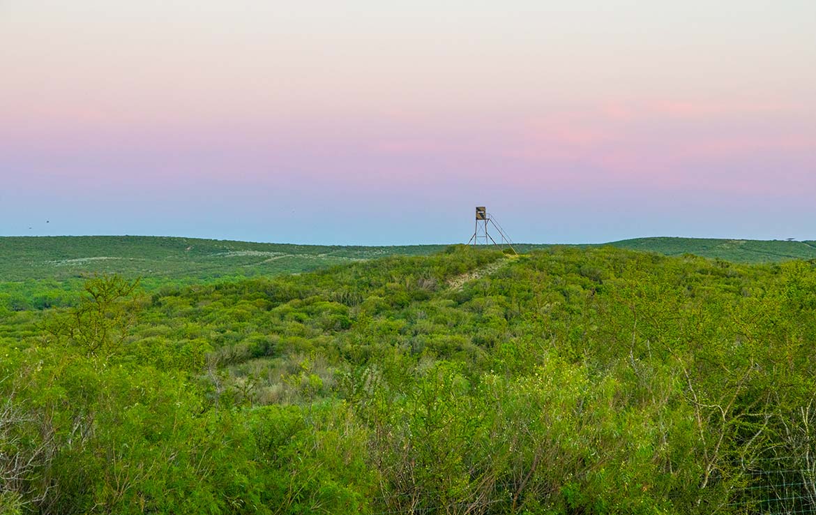 Laguna Vista 1486 Acre Ranch Frio County Image 12