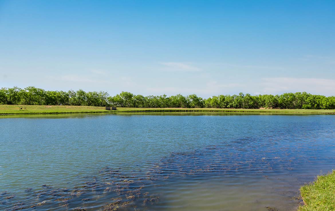 Laguna Vista 1486 Acre Ranch Frio County Image 13