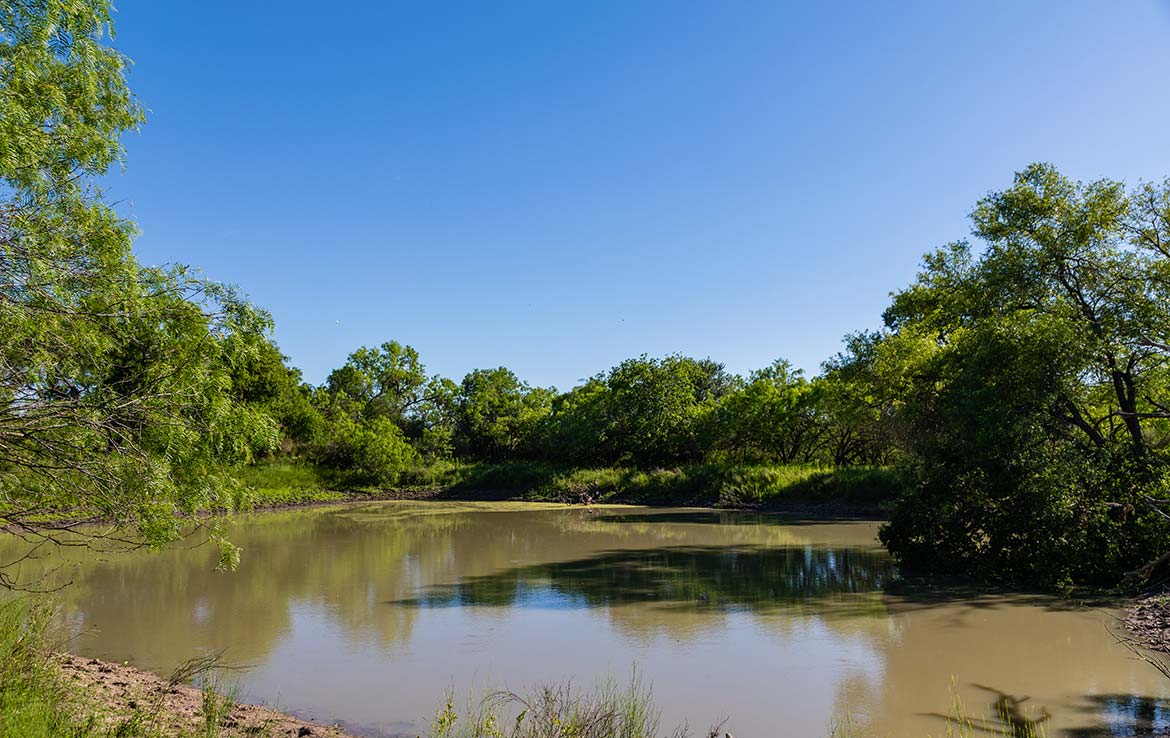 Laguna Vista 1486 Acre Ranch Frio County Image 14