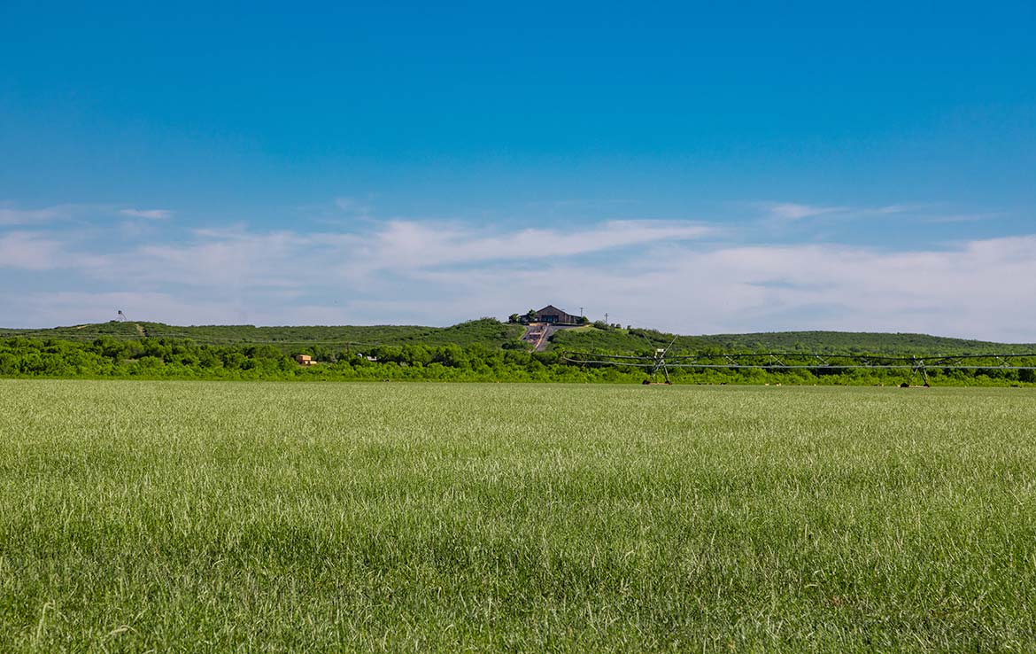 Laguna Vista 1486 Acre Ranch Frio County Image 2