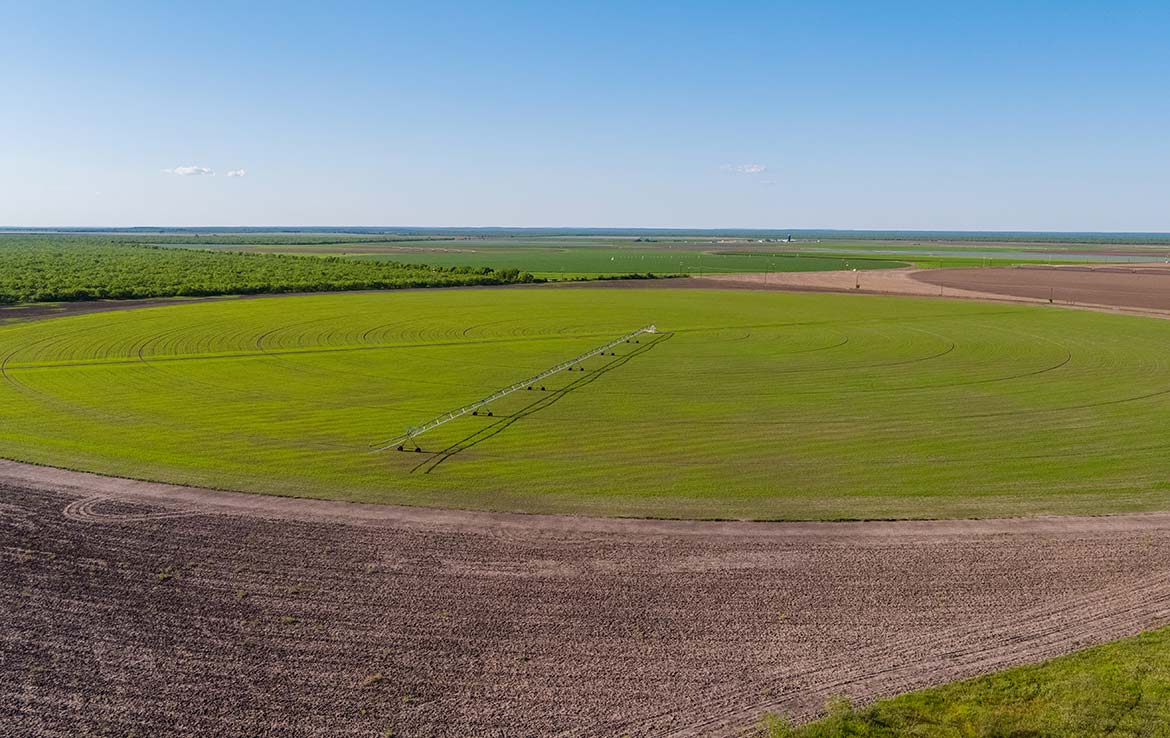 Laguna Vista 1486 Acre Ranch Frio County Image 20