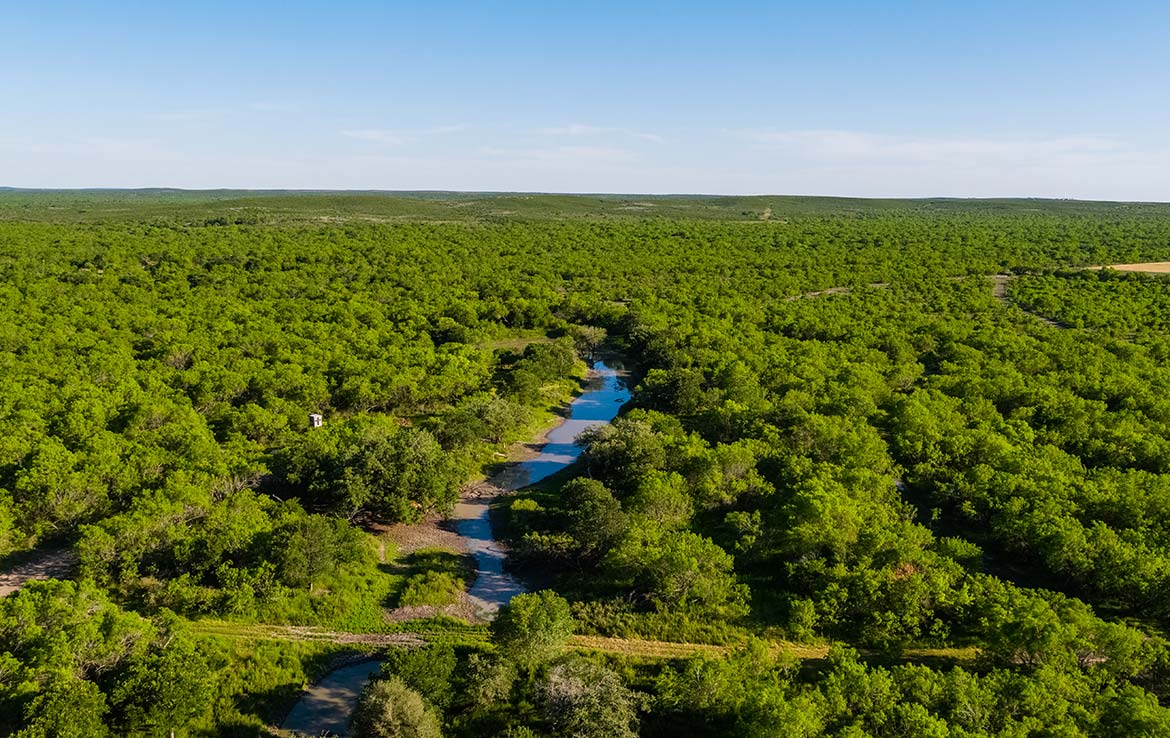Laguna Vista 1486 Acre Ranch Frio County Image 23