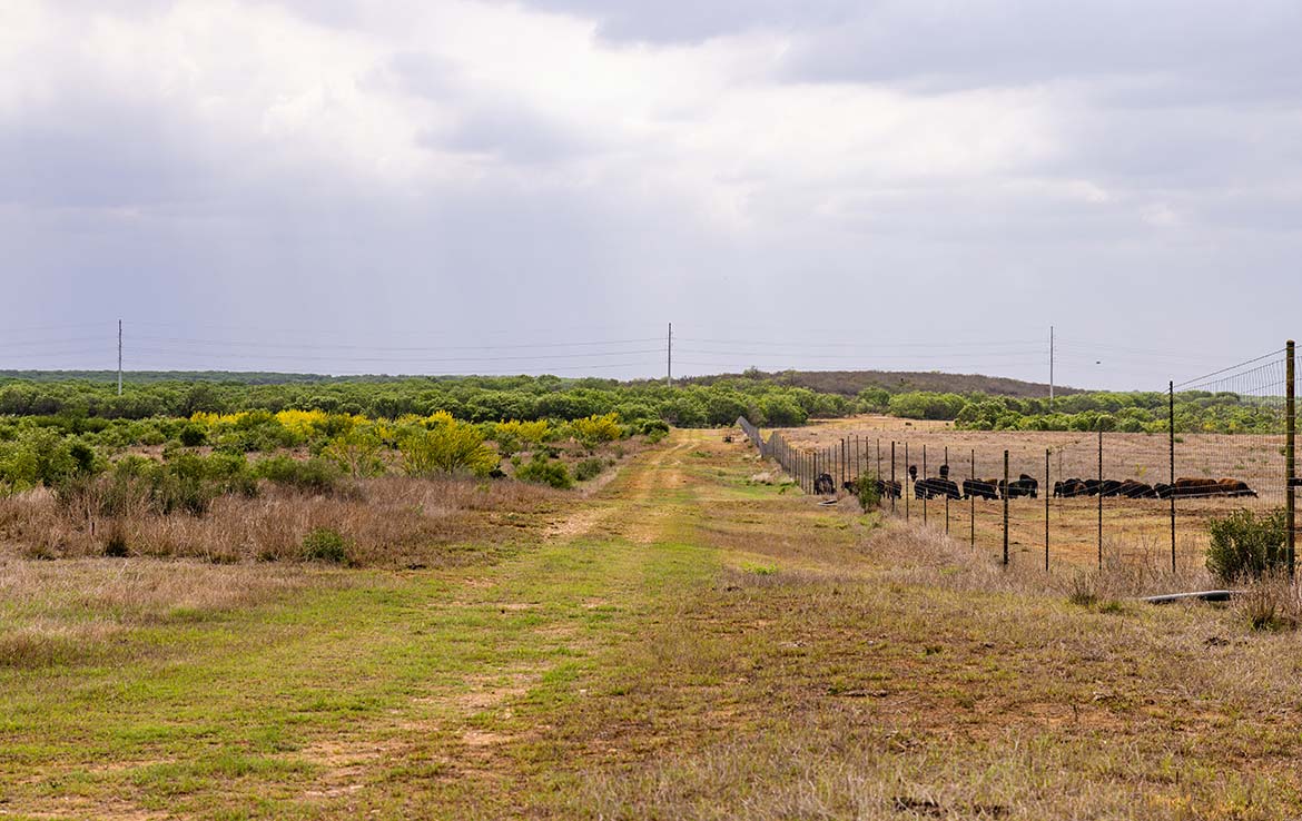 Roca Seca Ranch 2108 Acre Ranch Frio County Image 11