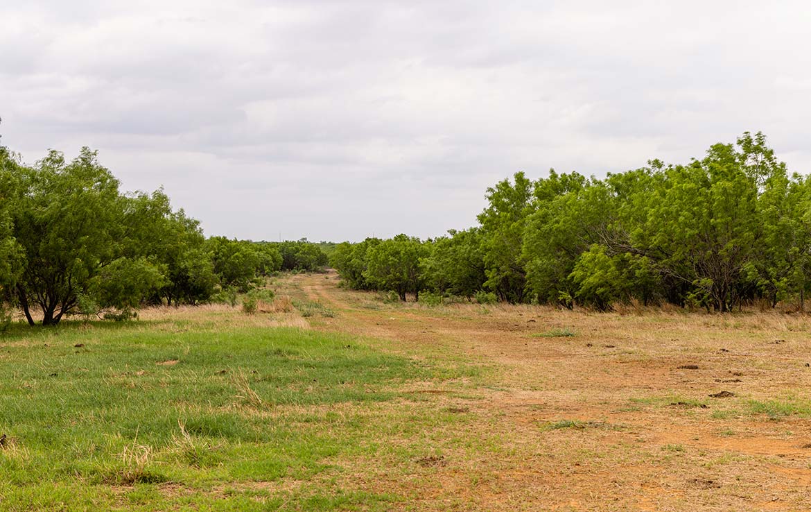 Roca Seca Ranch 2108 Acre Ranch Frio County Image 12