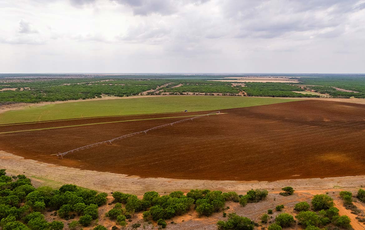 Roca Seca Ranch 2108 Acre Ranch Frio County Image 19