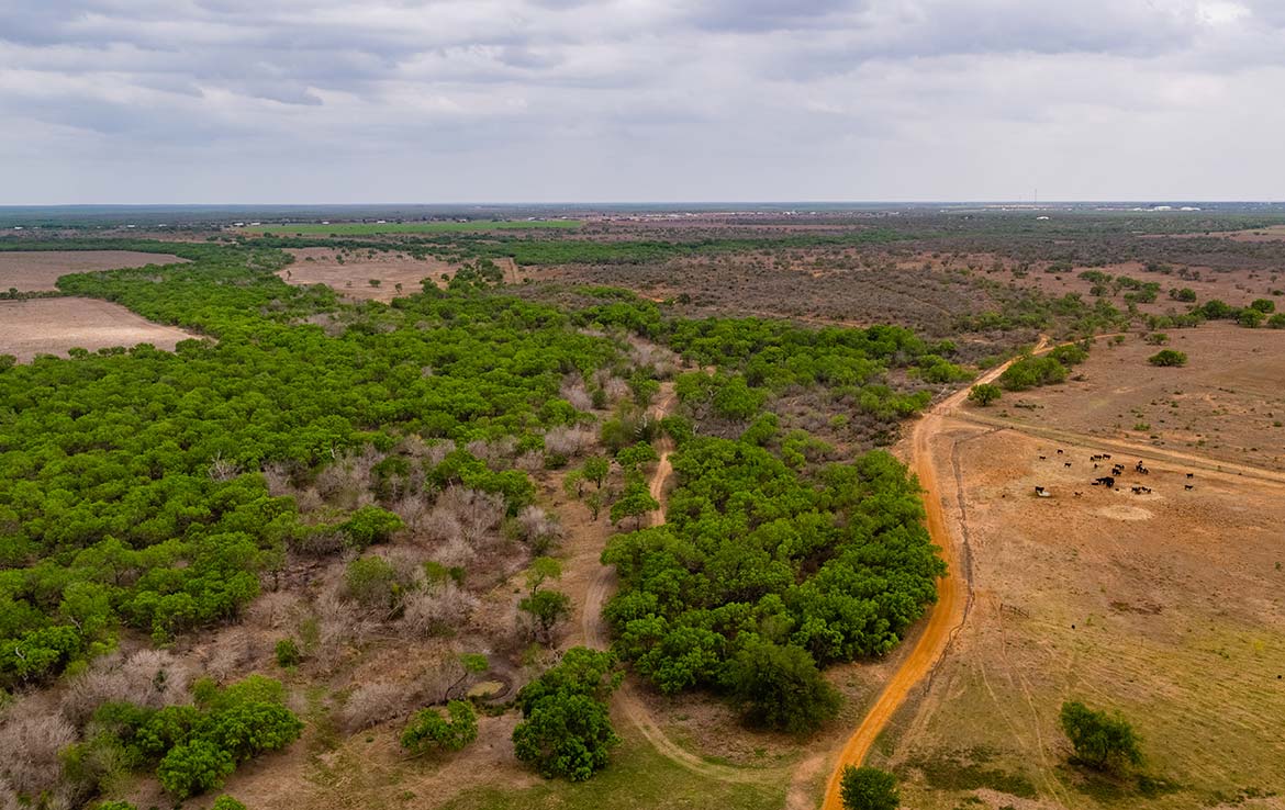 Roca Seca Ranch 2108 Acre Ranch Frio County Image 21