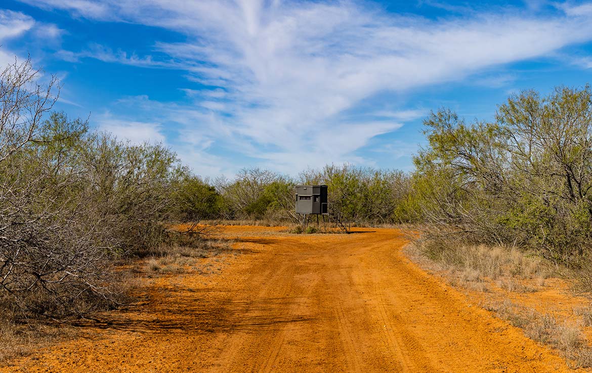 Titan Ranch 735 Acre Ranch Frio County Image 10