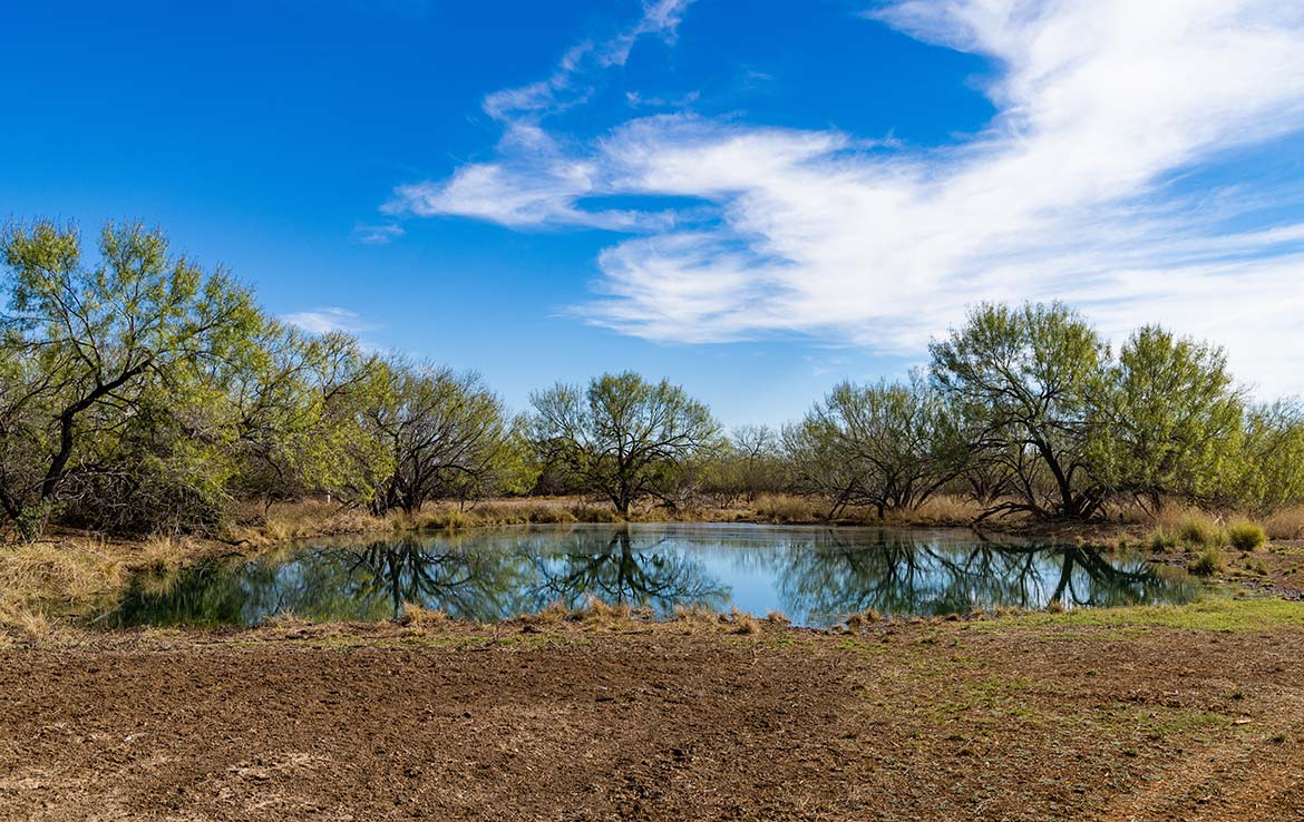 Titan Ranch 735 Acre Ranch Frio County Image 12