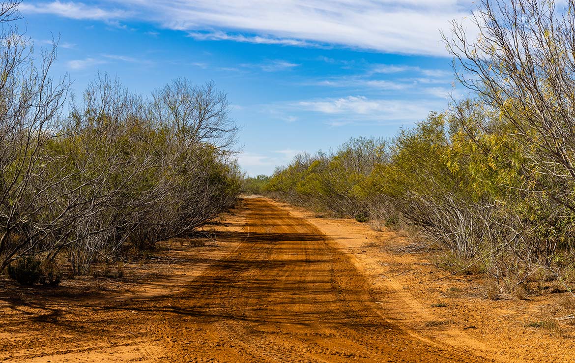 Titan Ranch 735 Acre Ranch Frio County Image 13