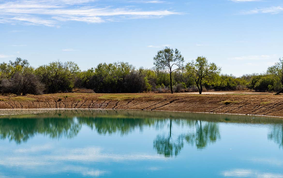 Titan Ranch 735 Acre Ranch Frio County Image 14