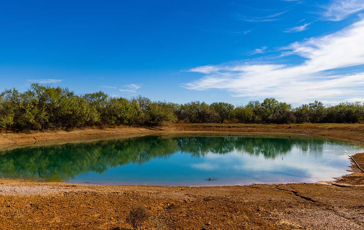 Titan Ranch 735 Acre Ranch Frio County Image 15