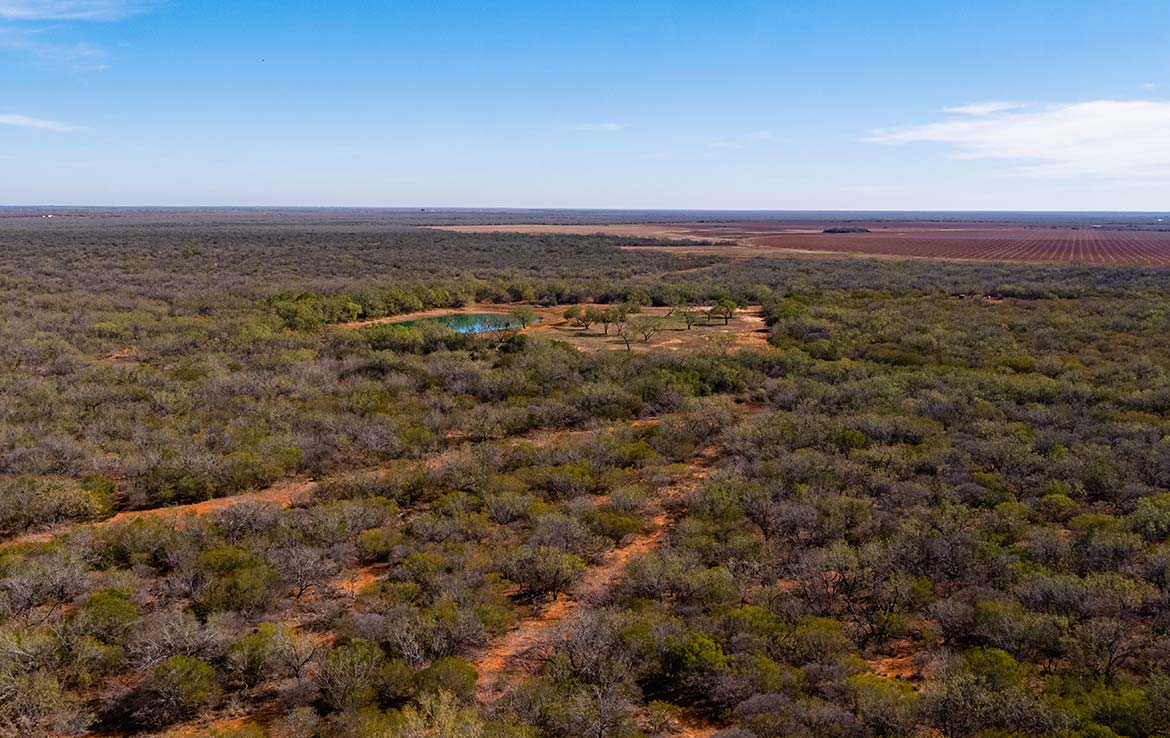 Titan Ranch 735 Acre Ranch Frio County Image 17