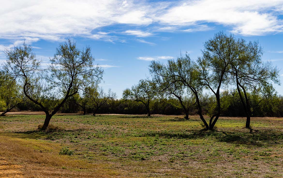 Titan Ranch 735 Acre Ranch Frio County Image 8