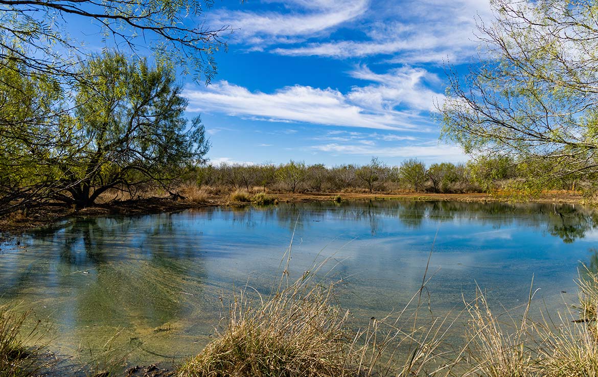 Titan Ranch 735 Acre Ranch Frio County Image 9