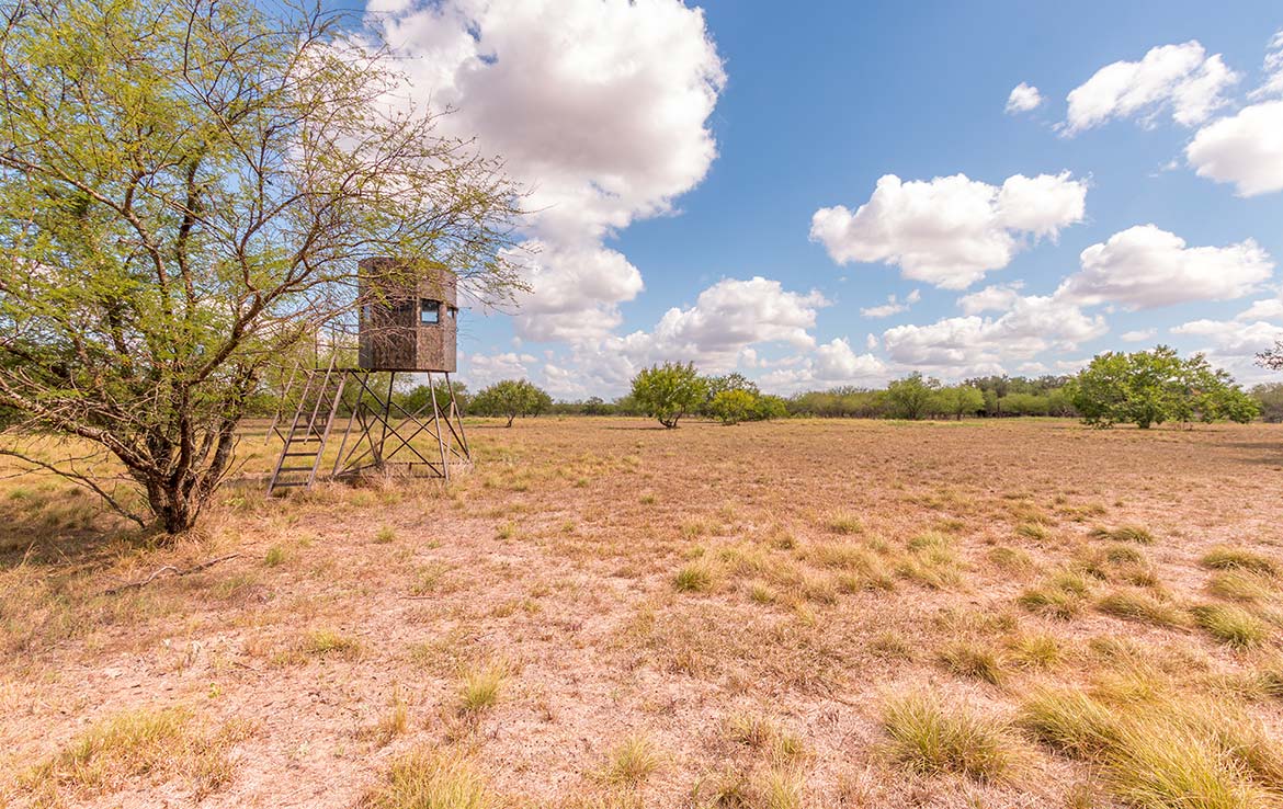 Cothern’s Trophy Oaks Ranch 144 Acre Ranch Goliad County Image 15