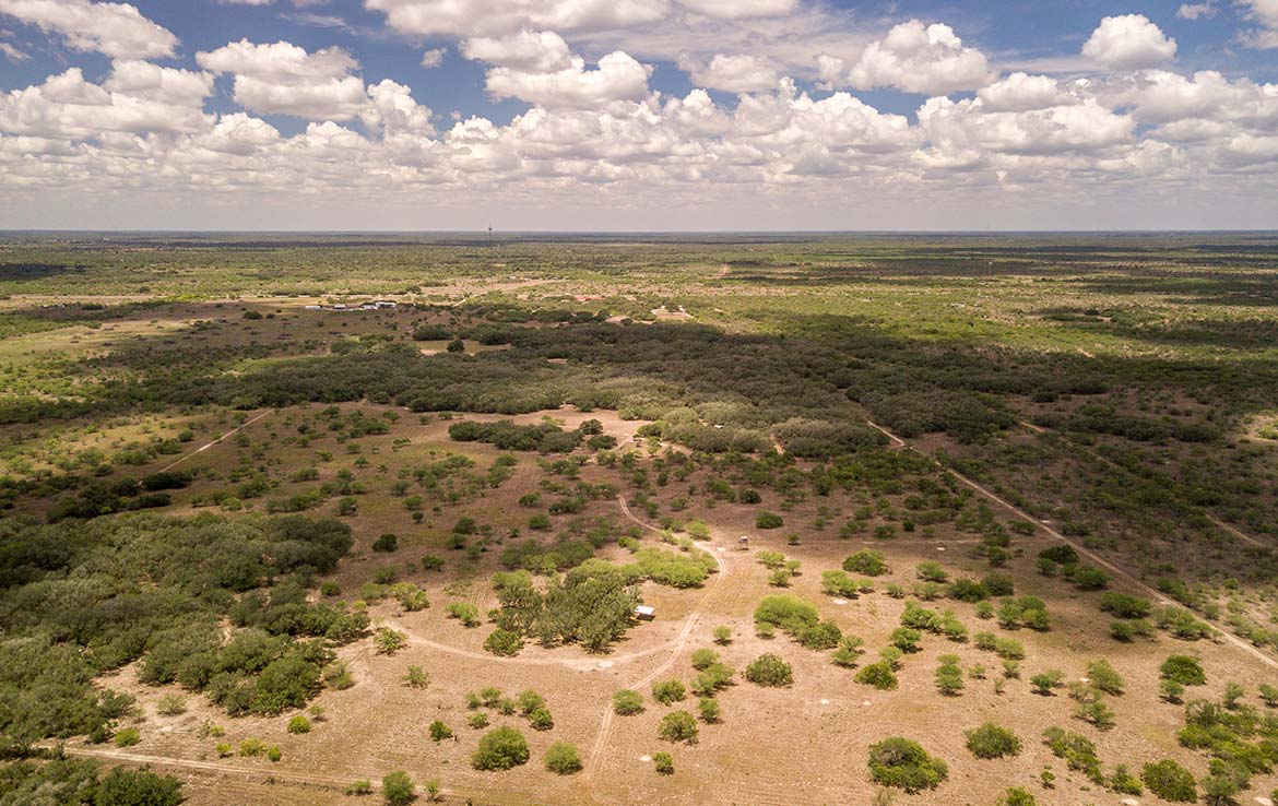 Cothern’s Trophy Oaks Ranch 144 Acre Ranch Goliad County Image 23